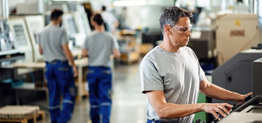 Fabricantes y Distribuidores