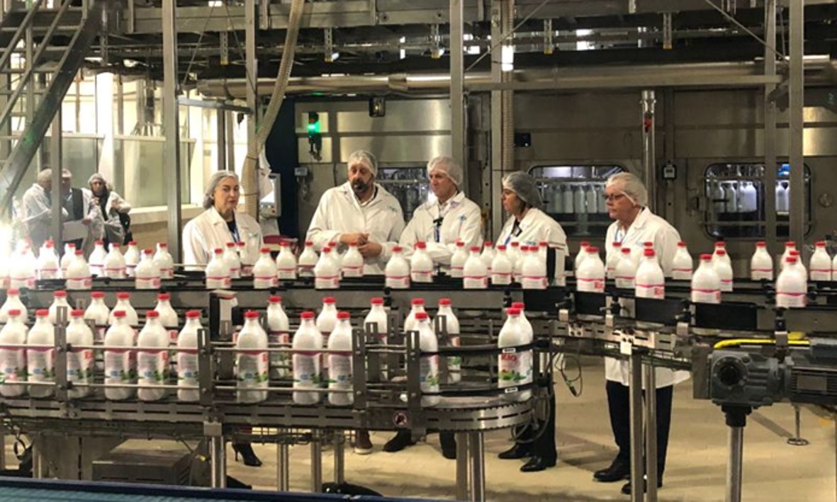 Diseño, desarrollo e implantación del Modelo de Controlling